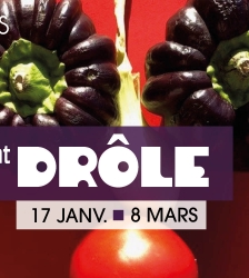 Exposition collective sur l&rsquo;art et l&rsquo;humour : S&eacute;rieusement dr&ocirc;le