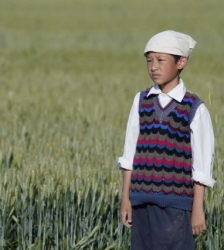 Cin&eacute;ma &laquo; Le Temps des Moissons &raquo;