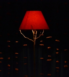 Spectacle de contes astronomiques "La veill&eacute;e"