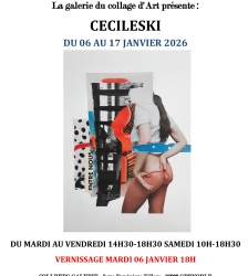 COLLAGES DE CECILESKI