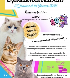 Exposition f&eacute;line internationale