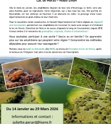 9e Sauvetage des amphibiens &agrave; Moras