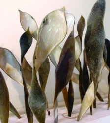 Exposition R&ecirc;ve V&eacute;g&eacute;tal - Immersion po&eacute;tique