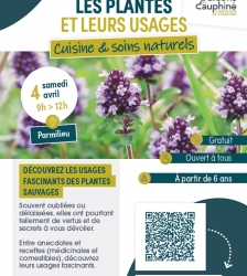 COMPLET : Sortie nature : les plantes et leurs usages- cuisine et soins naturels