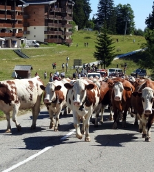 Fête des Alpages du Mont Revard