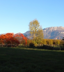 Exposition de photos