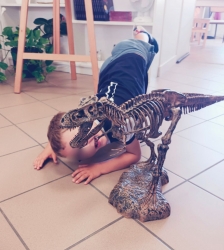 Arch&eacute;ozoo dinos