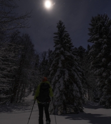 Atelier : "Conte moi la nuit" !