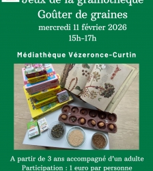 Apr&egrave;s-midi jeux &agrave; la m&eacute;diath&egrave;que de V&eacute;zeronce-Curtin