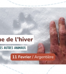 Sortie nature - La faune de l'hiver