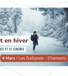 Sortie nature - La for&ecirc;t en hiver