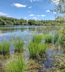 Sortie Lo Parvi : lecture de paysage et approche des milieux naturels