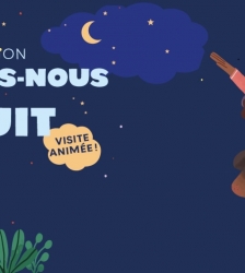 Contes : Promenons-nous dans la nuit