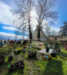 Journ&eacute;es des Plantes