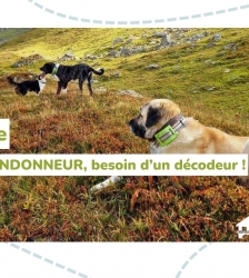 Causerie : "Patou randonneur, besoin d'un d&eacute;codeur"