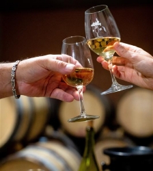Atelier : d&eacute;couverte immersive des vins de Savoie