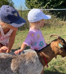 L'Arche de Julie : visites et ateliers du mois de mars