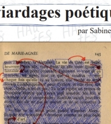 Exposition Caviardages Po&eacute;tiques