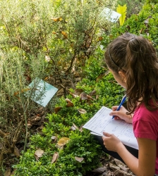 La visite ludique des 7-12 ans : La plante myst&egrave;re