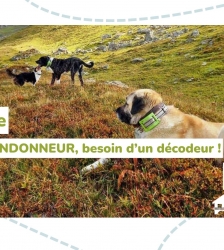 Causerie : Patou randonneur, besoin de d&eacute;codeur
