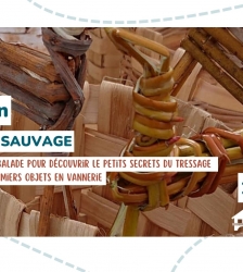 Initiation : Vannerie sauvage