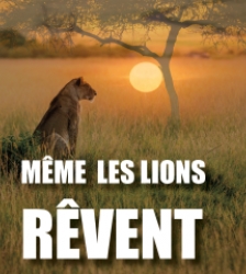 Exposition photo de Baptiste Dejabry