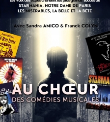 Au choeur des com&eacute;dies musicales