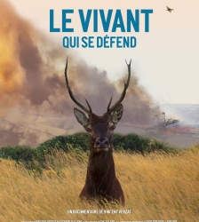 Projection - d&eacute;bat : Le vivant qui se d&eacute;fend
