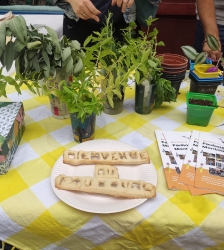 Chantier participatif : le Faubourg Montm&eacute;lian se v&eacute;g&eacute;talise !