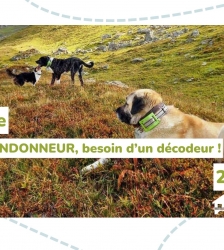 Causerie : Patou randonneur, besoin d'un d&eacute;codeur
