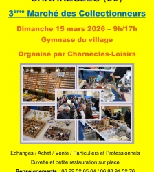 March&eacute; des collectionneurs & bourse exposition Lego