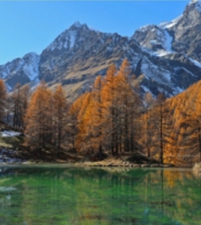 Exposition photos du club chasseurs d'images 35/8