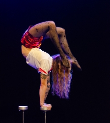 Festival Cirq'ule