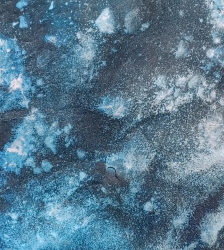 Exposition "IN SITU"