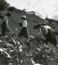 Atelier : Potager de papier