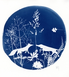 Atelier cyanotype