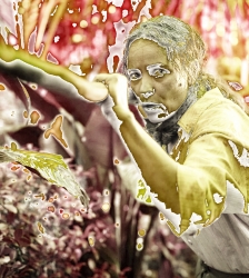 Cin&eacute;ma : Send Help