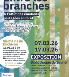 Exposition  "Entre les branches : &agrave; l'affut des &eacute;motions partag&eacute;es en for&ecirc;t"