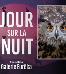 Conf&eacute;rence : Les rapaces nocturnes
