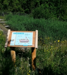 Atelier de l'eau : Traitement des eaux usées par les plantes