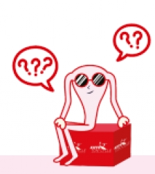 Atelier "Kiffe tes Premi&egrave;res R&egrave;gles" en DUO (ado/adulte)