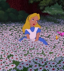 Cin&eacute; Bamboche - Alice au pays des Merveilles