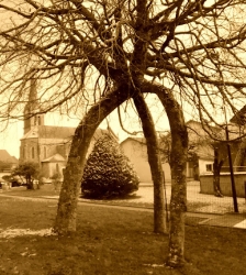 Exposition de l'atelier de g&eacute;n&eacute;alogie