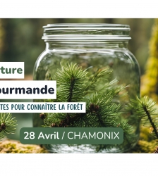 Sortie nature - Foret gourmande