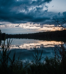 Animation nature sur les ENS : balade cont&eacute;e au cr&eacute;puscule