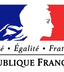 C&eacute;r&eacute;monie du 8 mai 1945