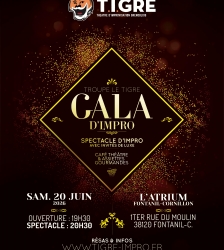 GALA D&rsquo;IMPRO DU TIGRE