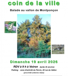 Balade comment&eacute;e : La nature au coin de la ville