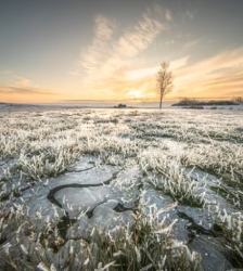 Exposition photo - Mes racines : beaut&eacute; des terres froides