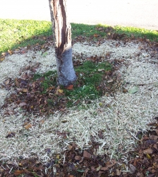 Atelier jardiner au naturel